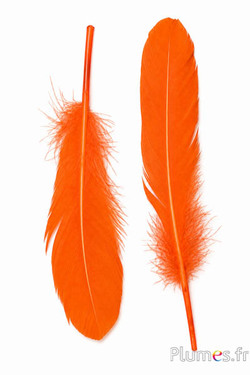 Gans - 15-21 cm, links en rechts - oranje